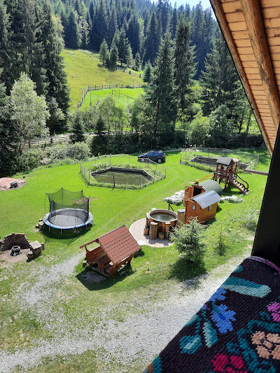 Curte Pensiunea Waldhaus